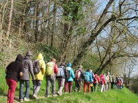 En route vers la Miséricorde et la solidarité internationale sur le chemin de Saint Jacques