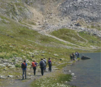 Prier en marchant, avec les créatures