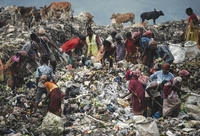 Avec la terre et les pauvres, la clameur du Magistère